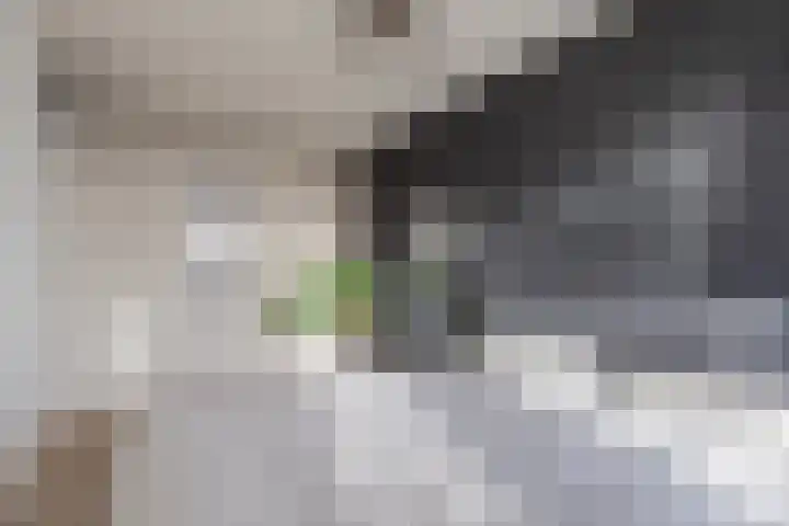 Tjaarda 106 Drachten thumbnail 17