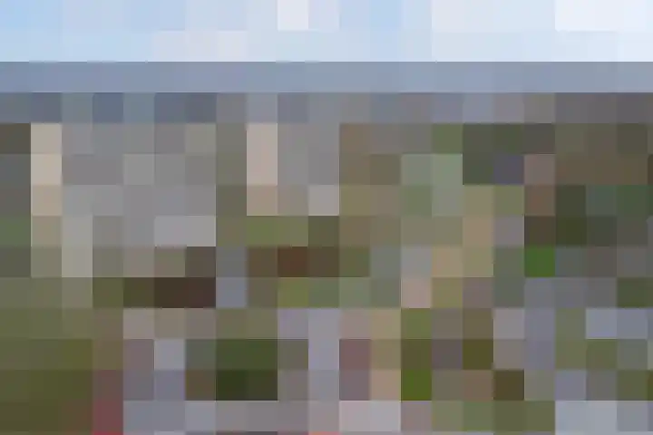 Tjaarda 106 Drachten thumbnail 27