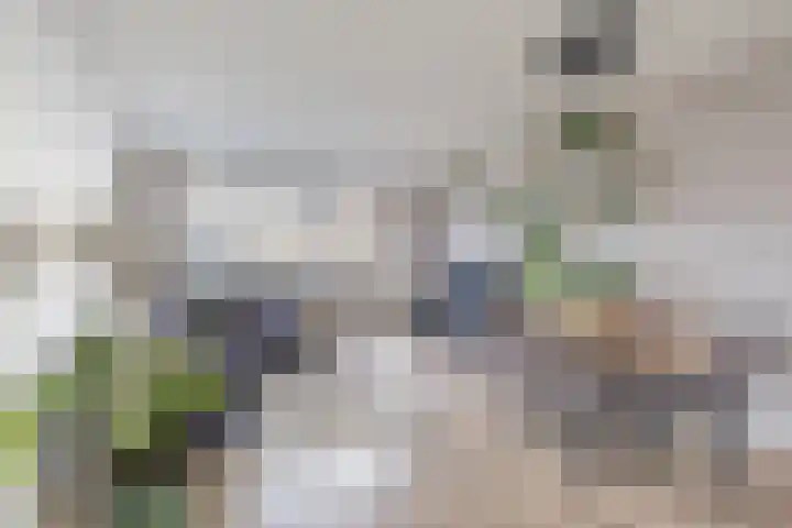Tjaarda 106 Drachten thumbnail 7