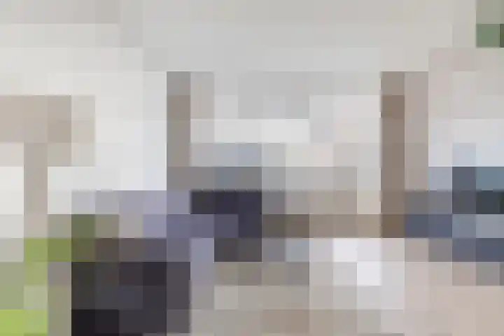 Tjaarda 106 Drachten thumbnail 8