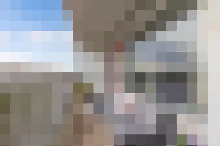 Tjaarda 106 Drachten thumbnail 9