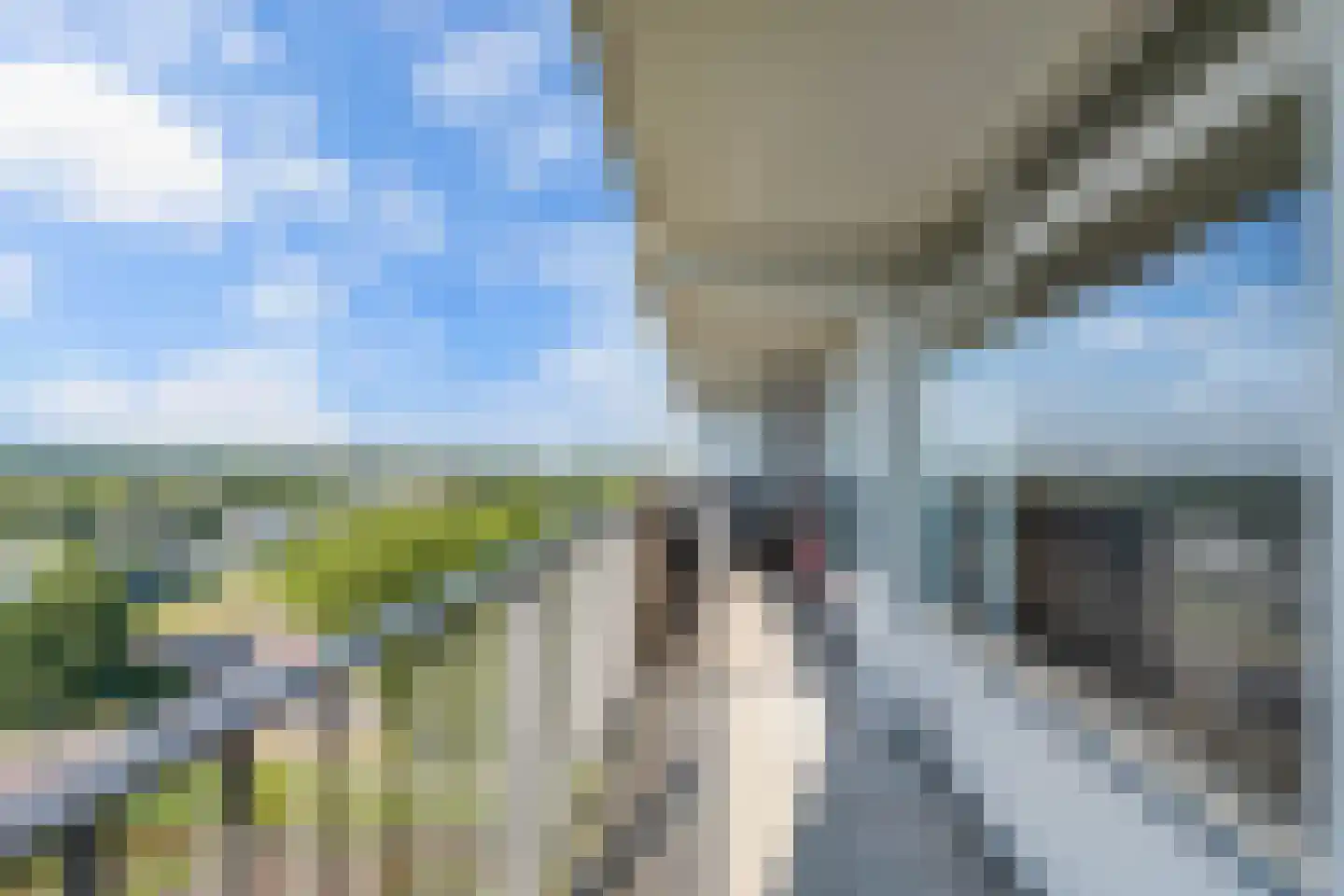 Tjaarda 108 Drachten thumbnail 19