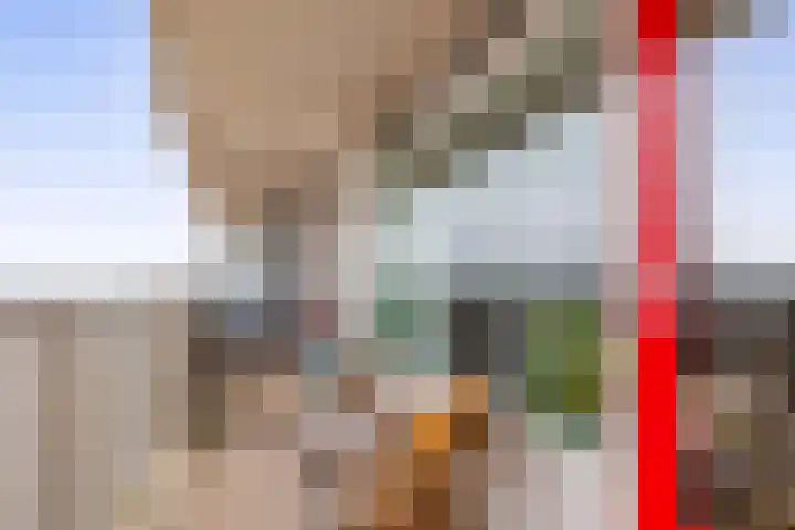 Tjaarda 132 Drachten thumbnail 22