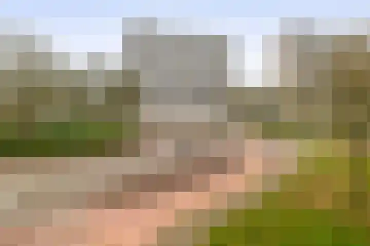 Tjaarda 132 Drachten thumbnail 29