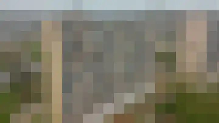 Tjaarda 132 Drachten thumbnail 31