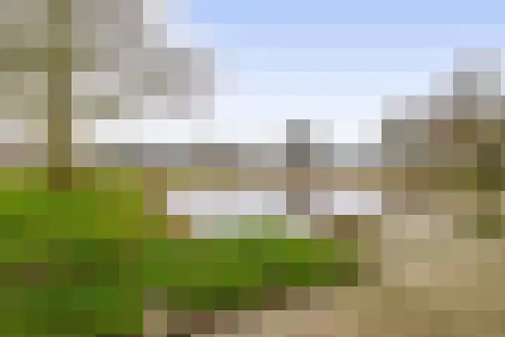 Tjaarda 132 Drachten thumbnail 32