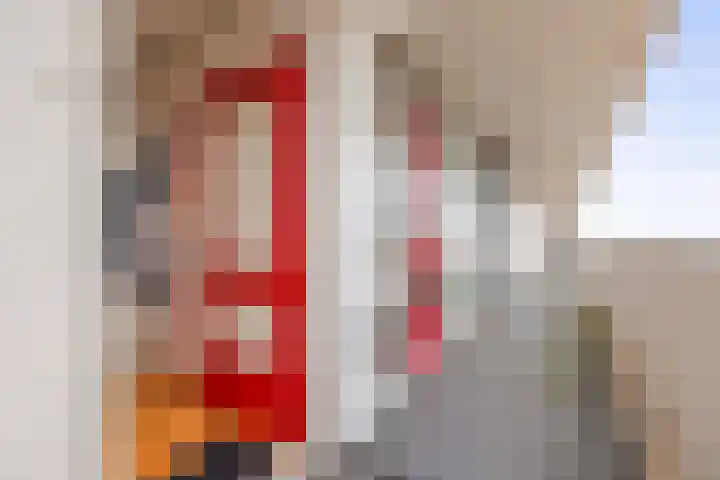 Tjaarda 132 Drachten thumbnail 9