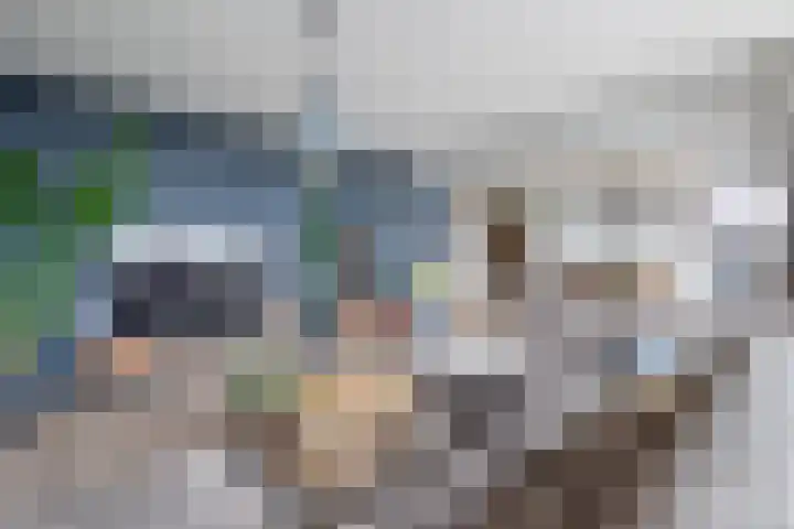 Tjaarda 140 Drachten thumbnail 11