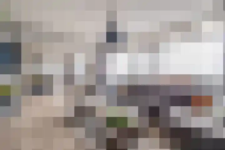 Tjaarda 140 Drachten thumbnail 12