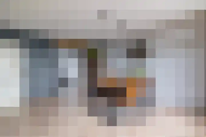 Tjaarda 140 Drachten thumbnail 15