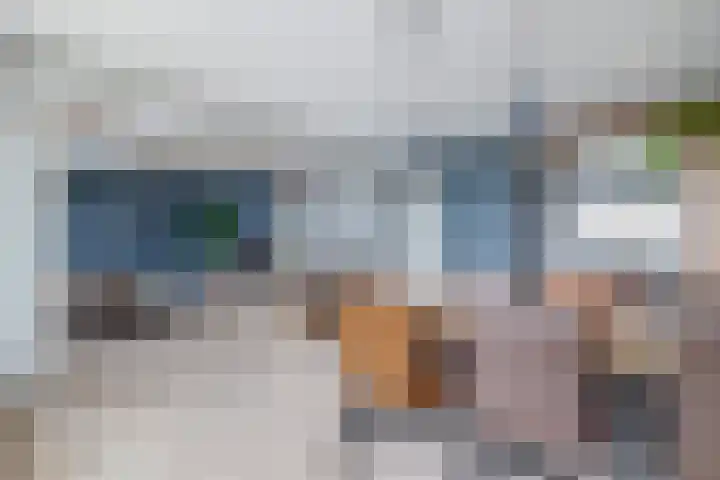 Tjaarda 140 Drachten thumbnail 17