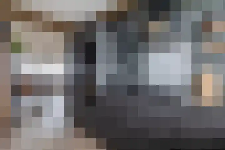 Tjaarda 140 Drachten thumbnail 18