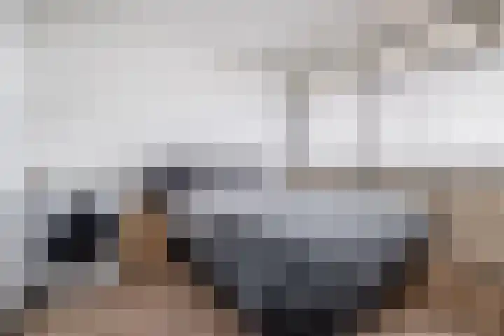 Tjaarda 140 Drachten thumbnail 20