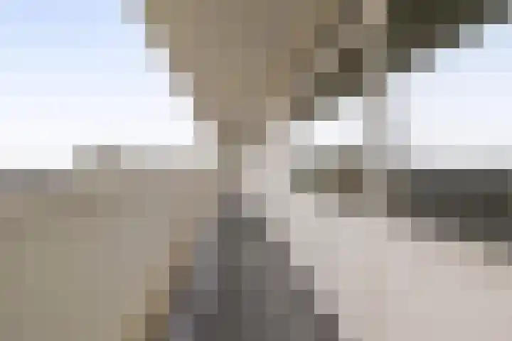 Tjaarda 140 Drachten thumbnail 27