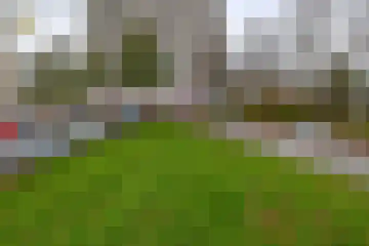 Tjaarda 140 Drachten thumbnail 29