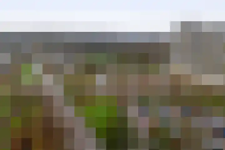 Tjaarda 140 Drachten thumbnail 32