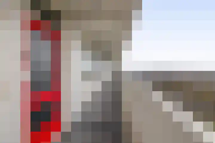 Tjaarda 140 Drachten thumbnail 8