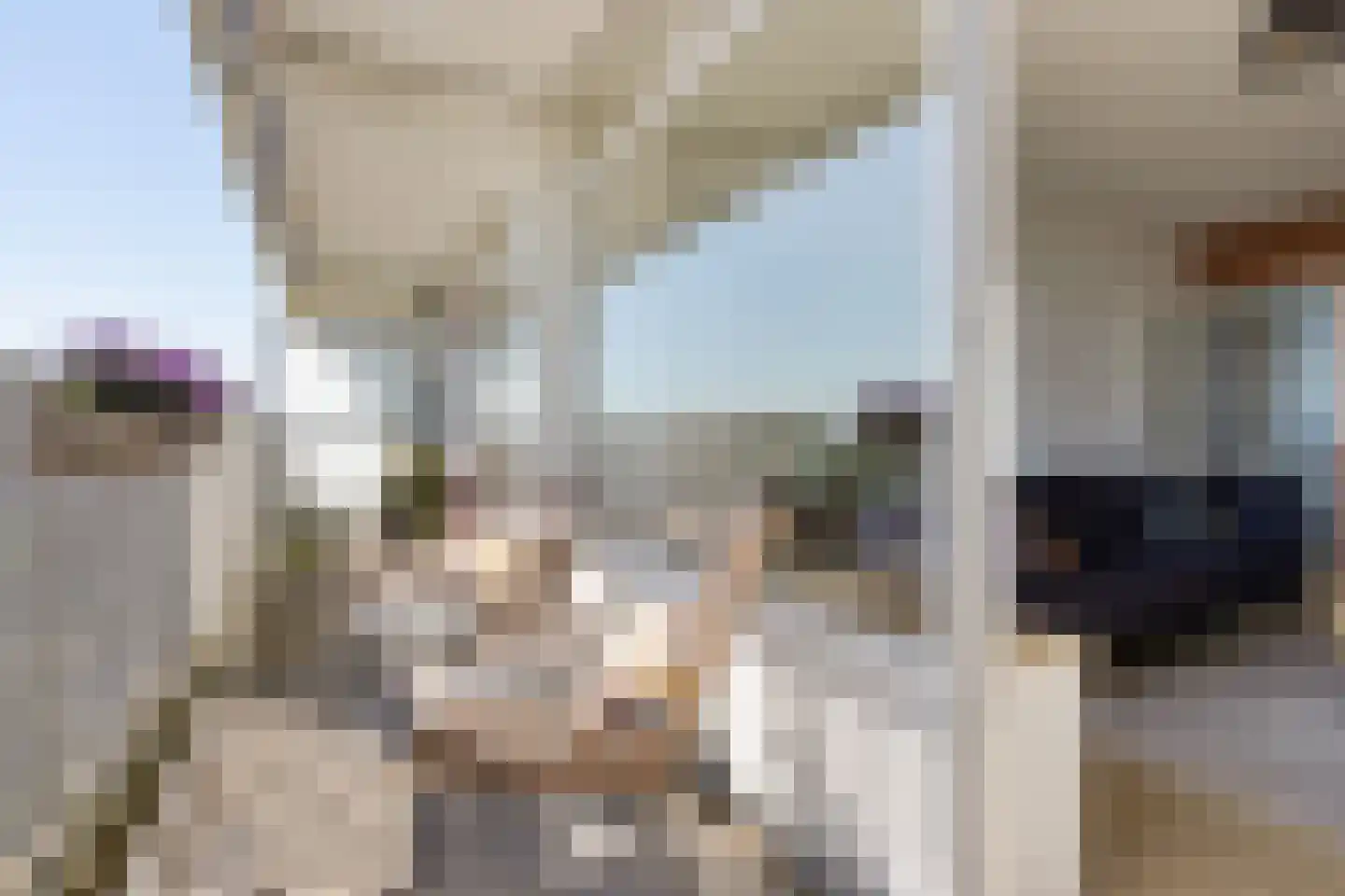 Tjaarda 152 Drachten thumbnail 26