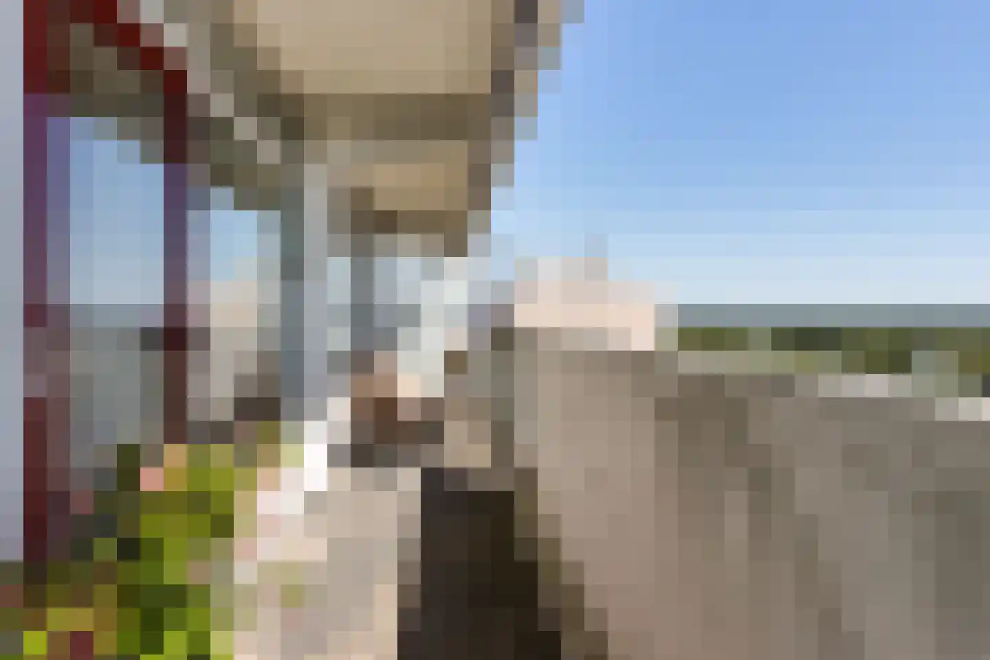 Tjaarda 152 Drachten thumbnail 28