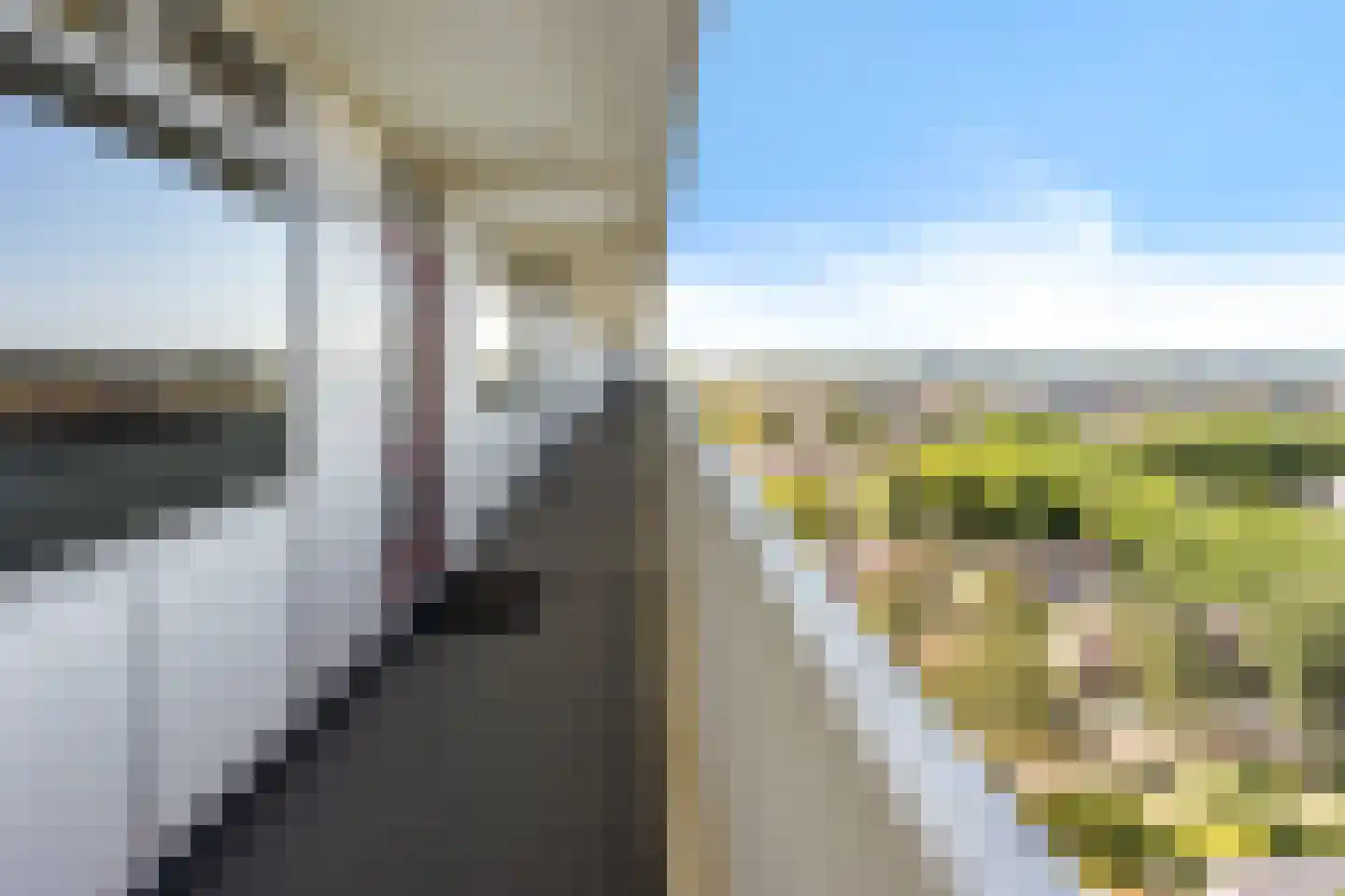 Tjaarda 152 Drachten thumbnail 31