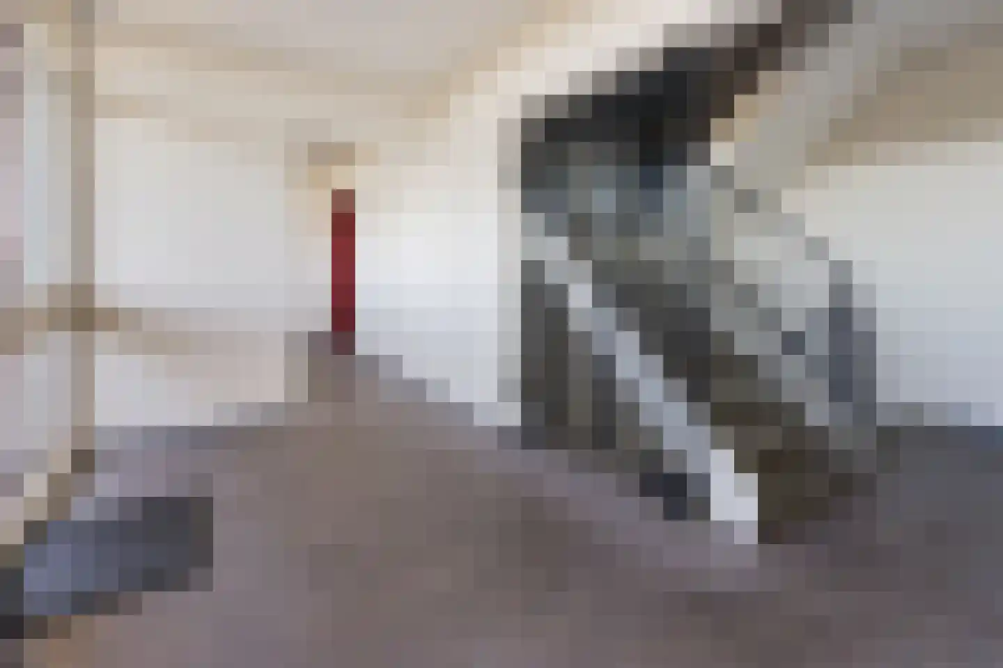 Tjaarda 152 Drachten thumbnail 35