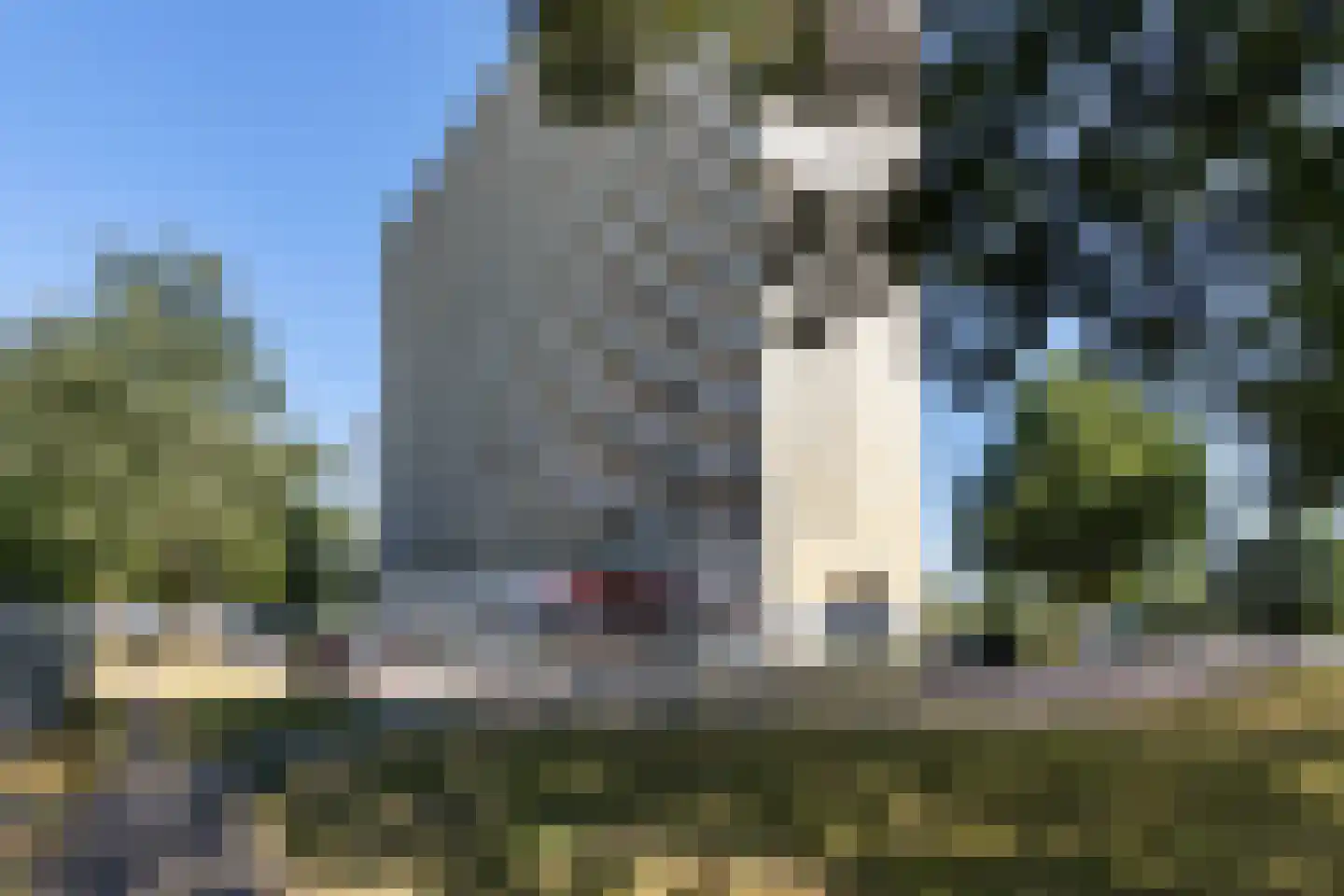Tjaarda 152 Drachten thumbnail 44