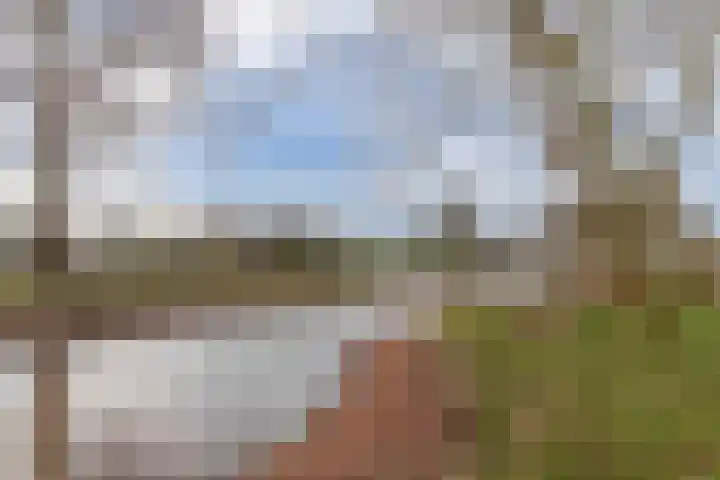 Tjaarda 164 Drachten thumbnail 30