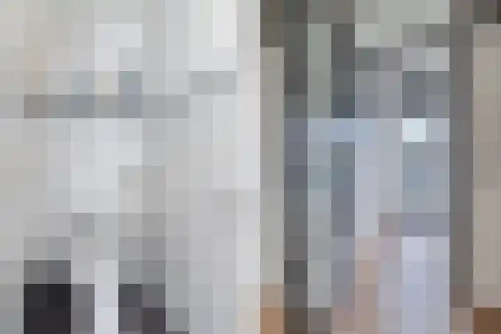 Tjaarda 164 Drachten thumbnail 7