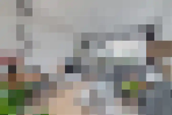Tjaarda 164 Drachten thumbnail 9