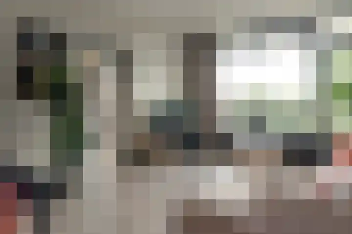 Tjaarda 188 Drachten thumbnail 13