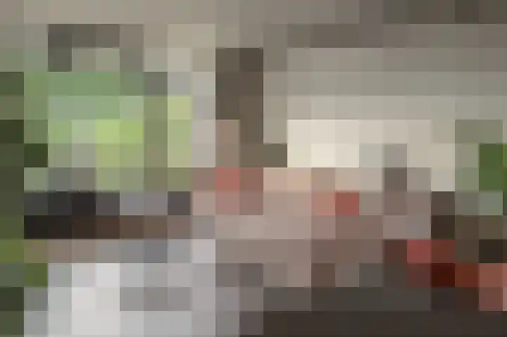 Tjaarda 188 Drachten thumbnail 14