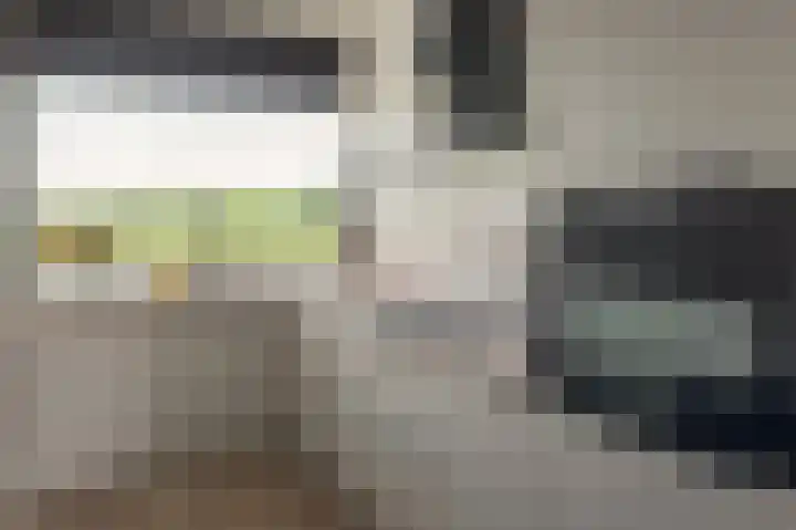 Tjaarda 188 Drachten thumbnail 16
