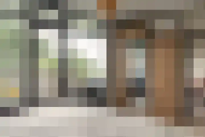 Tjaarda 188 Drachten thumbnail 19