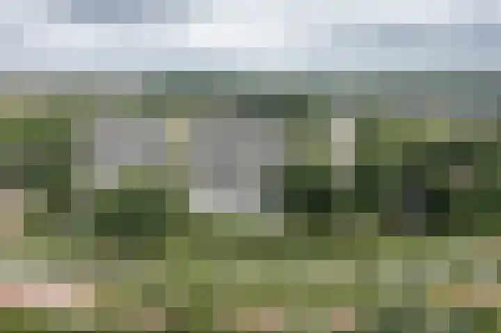 Tjaarda 188 Drachten thumbnail 27
