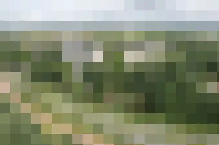 Tjaarda 188 Drachten thumbnail 28