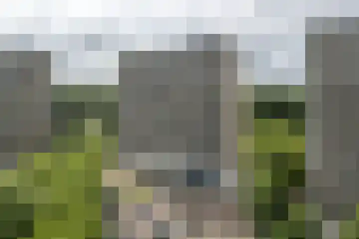Tjaarda 188 Drachten thumbnail 29