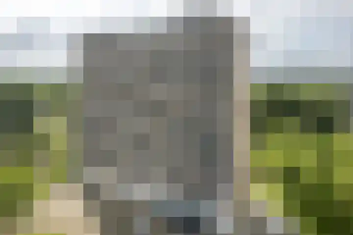 Tjaarda 188 Drachten thumbnail 30