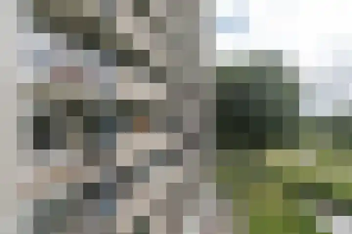 Tjaarda 188 Drachten thumbnail 31