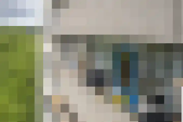 Tjaarda 188 Drachten thumbnail 32