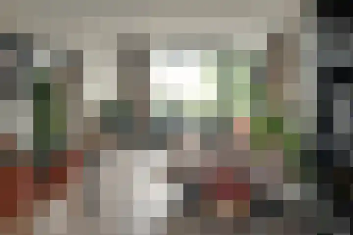 Tjaarda 188 Drachten thumbnail 8