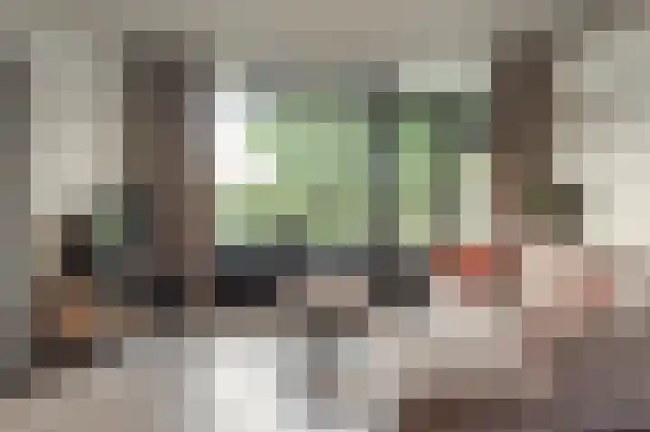 Tjaarda 188 Drachten thumbnail 9