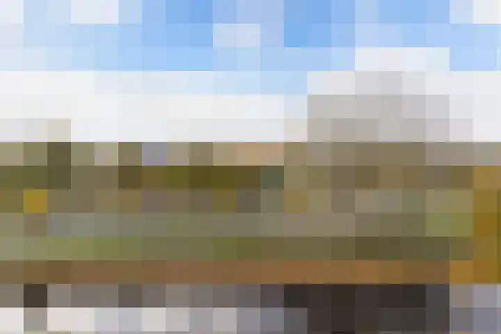 Tjaarda 190 Drachten thumbnail 19