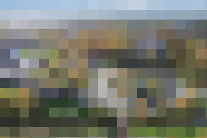 Tjaarda 190 Drachten thumbnail 21
