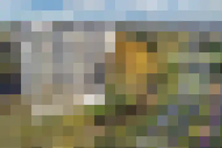 Tjaarda 190 Drachten thumbnail 22