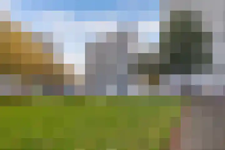 Tjaarda 190 Drachten thumbnail 23