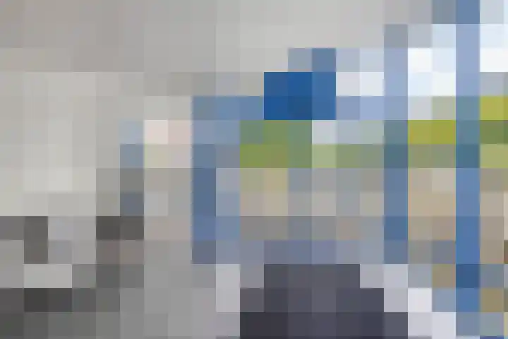 Tjaarda 190 Drachten thumbnail 4