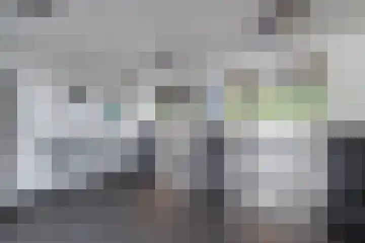 Tjaarda 190 Drachten thumbnail 5