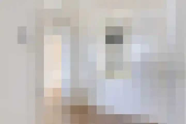 Tjaarda 190 Drachten thumbnail 7