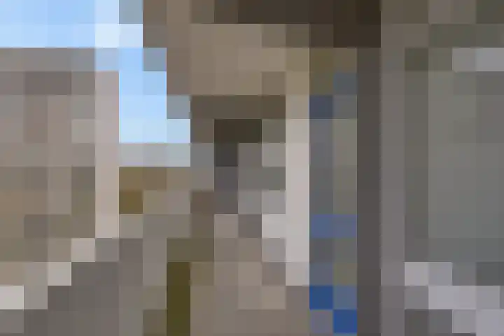 Tjaarda 220 Drachten thumbnail 10
