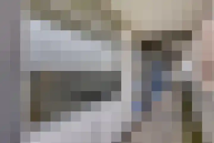 Tjaarda 220 Drachten thumbnail 12